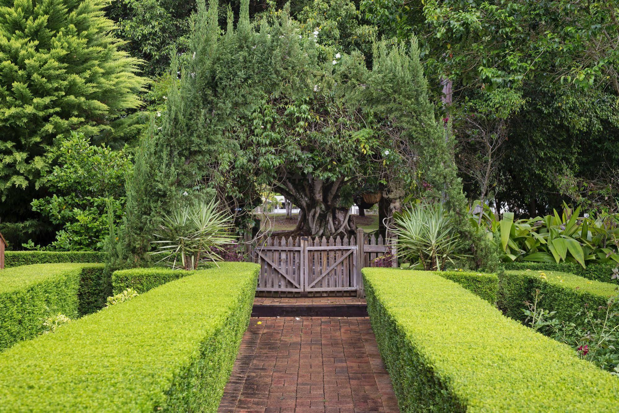 Allumbah Pocket Cottages Yungaburra Buitenkant foto