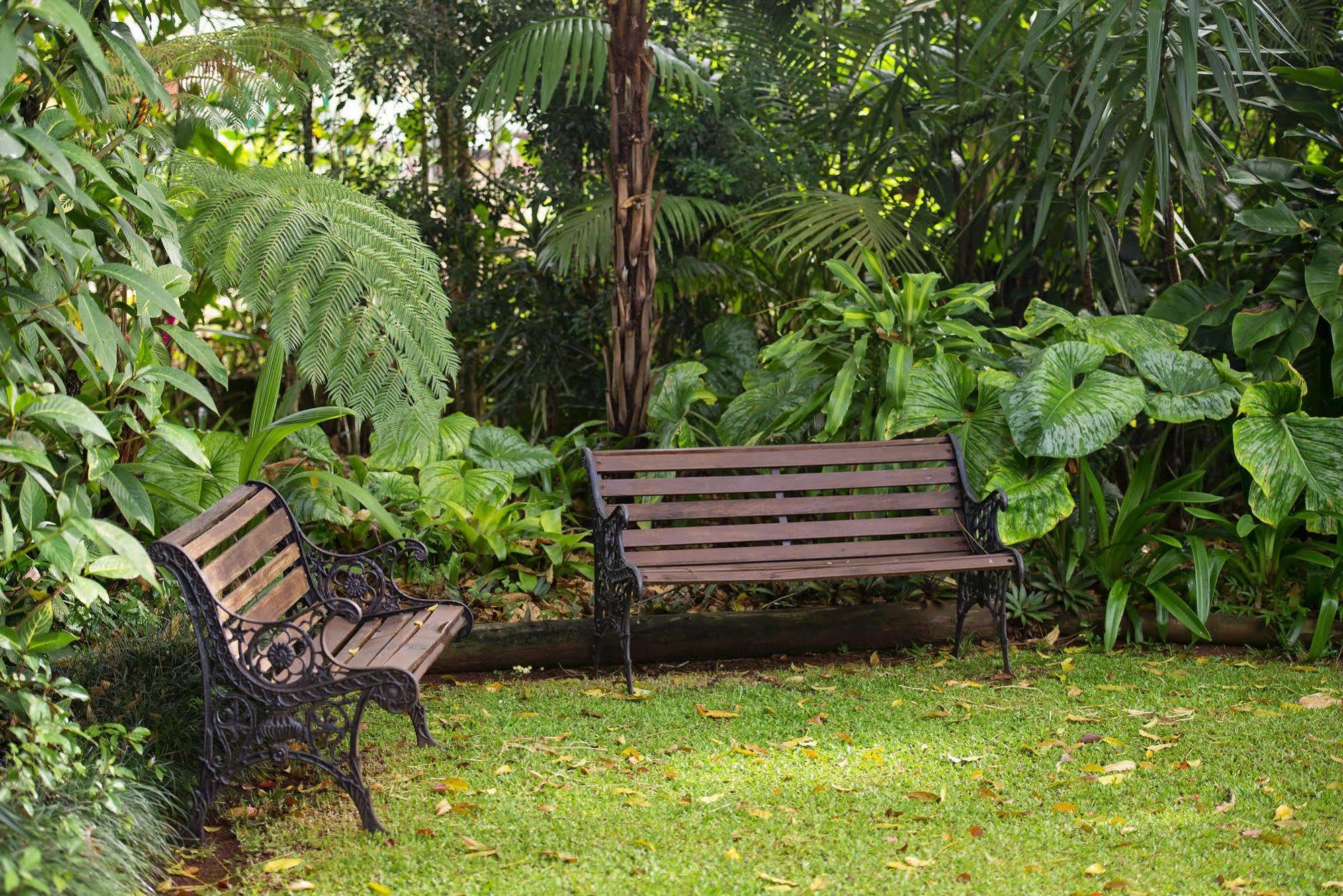 Allumbah Pocket Cottages Yungaburra Buitenkant foto