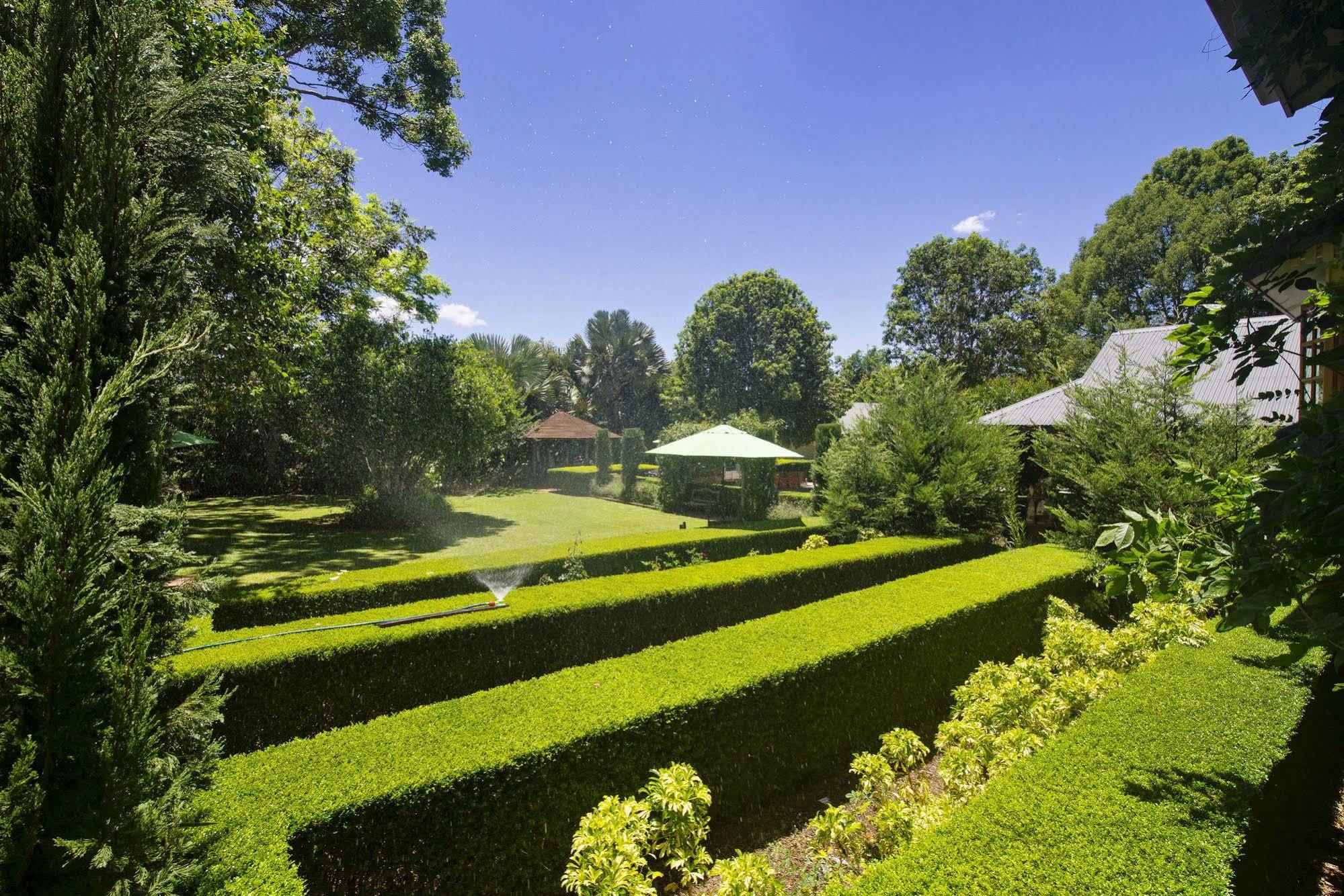 Allumbah Pocket Cottages Yungaburra Buitenkant foto